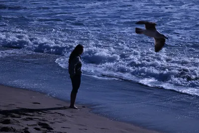 DSC_0409 (Large).JPG